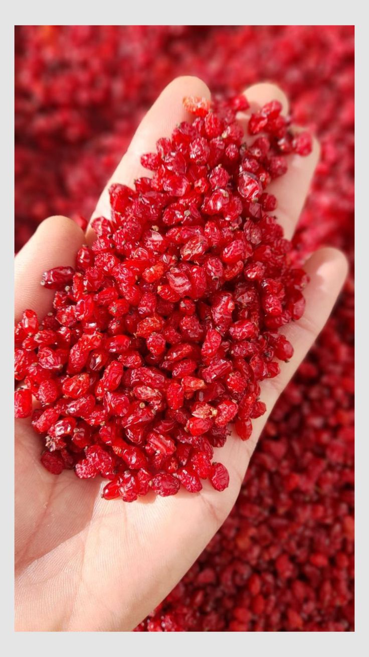 زرشک پفکی